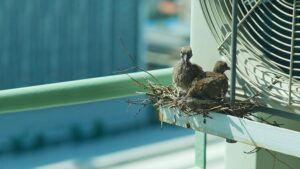 Vogelnest neben einem Lüftungsgitter